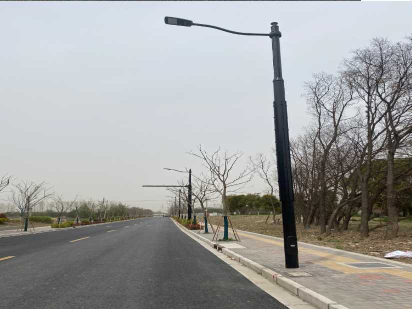 桐柏县上海综合杆 太阳能路灯工程